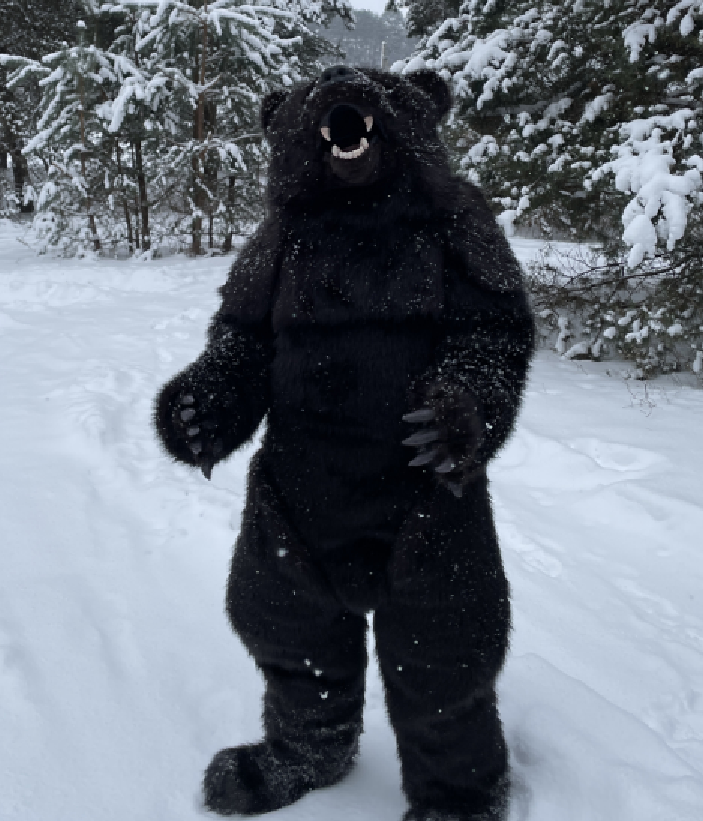 Black Bear Costume