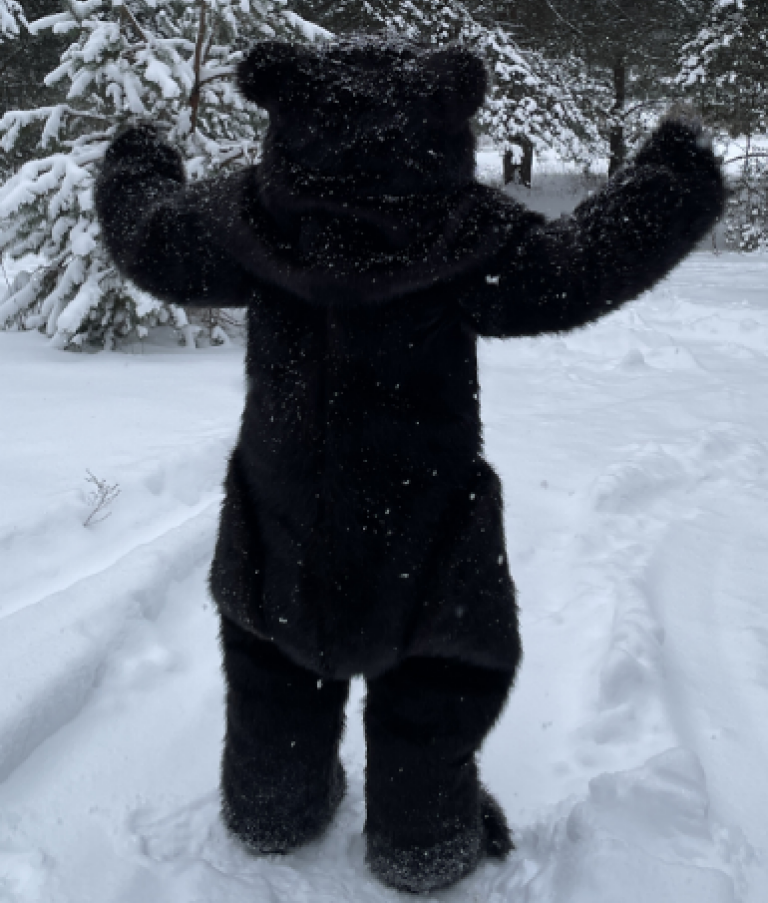 Black Bear Costume